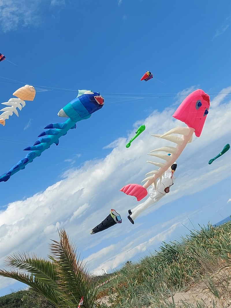 Festival degli aquiloni a Castellaneta Marina