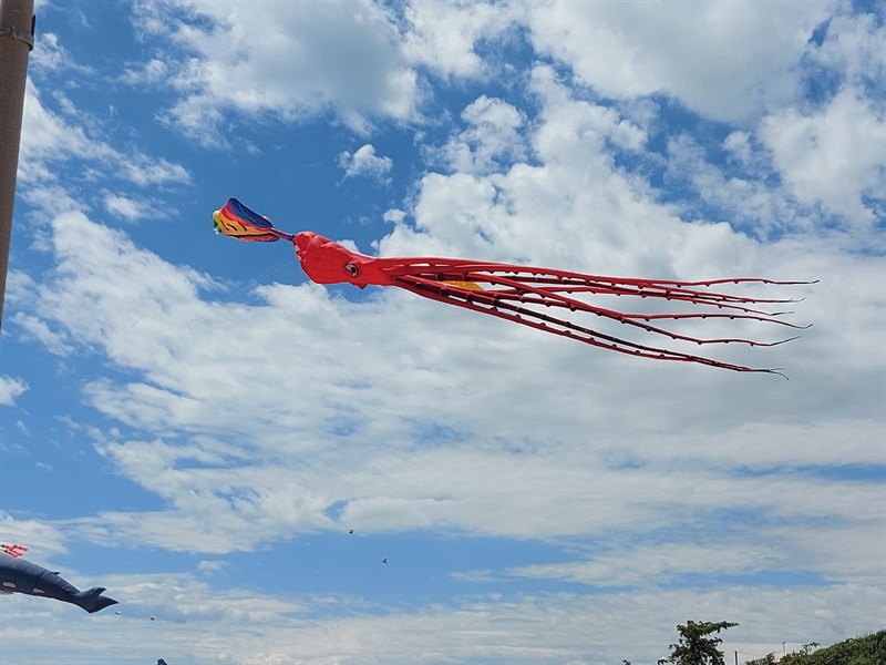 Festival degli aquiloni a Castellaneta Marina
