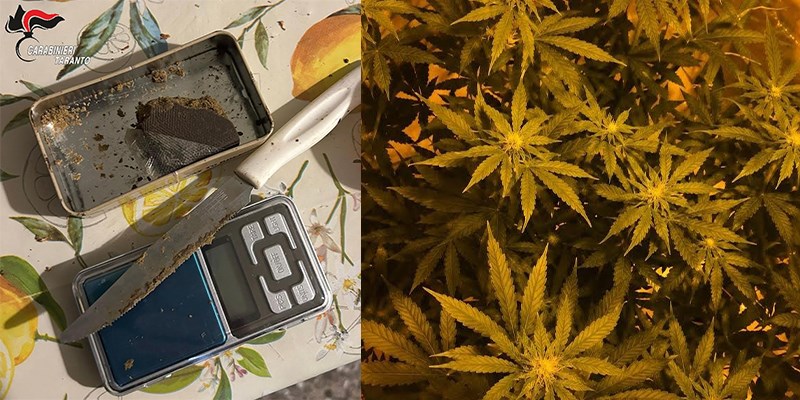 Marijuana e non solo: scoperta una serra indoor artigianale nel centro storico di Massafra 