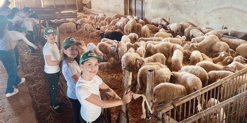 “Scuola in Fattoria”, a “Masserie Amodio” la lezione ha il sapore di libertà