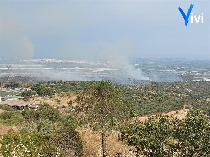 Fiamme in contrada Acquagnora: pomeriggio di fuoco a Mottola