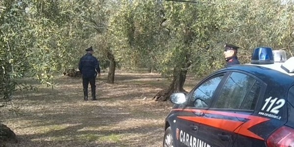 Carabinieri in campagna Carabinieri in campagna