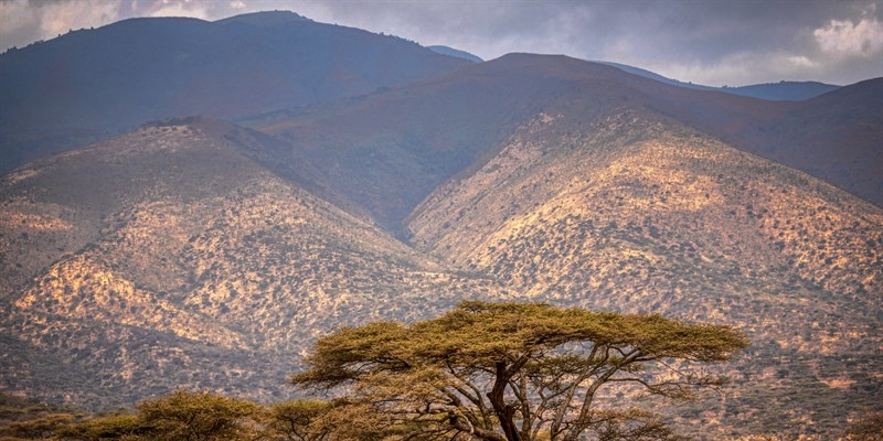 Dove fare un safari in Tanzania? Ecco le 3 località più suggestive