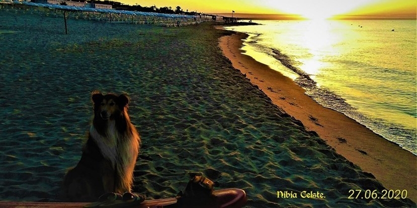 Novità a Castellaneta Marina: nasce la "Bau Beach"
