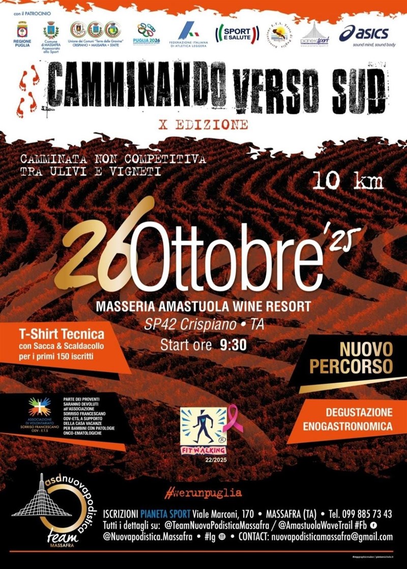 Locandina Camminando verso sud