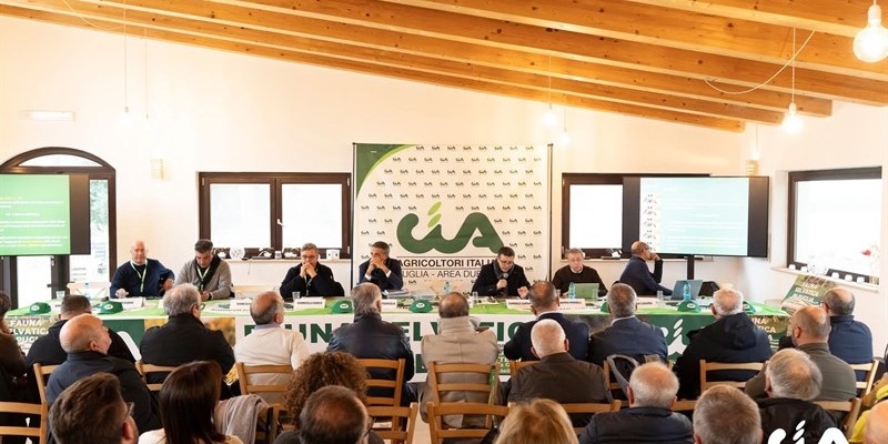 “Fauna selvatica in Puglia”, ecco l’obiettivo: «4.000 abbattimenti entro fine 2025»