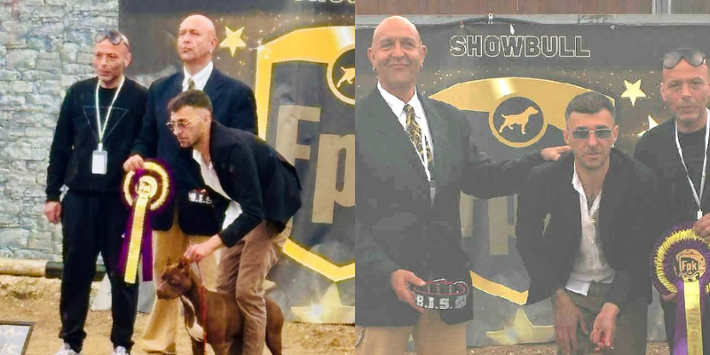 Un cucciolo di Massafra conquista il podio al Fipken&Wda Show