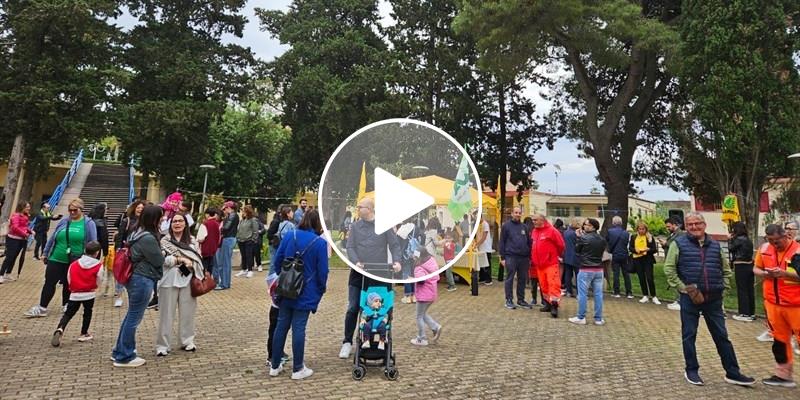 Giornata mondiale delle Api: grande festa a Castellaneta