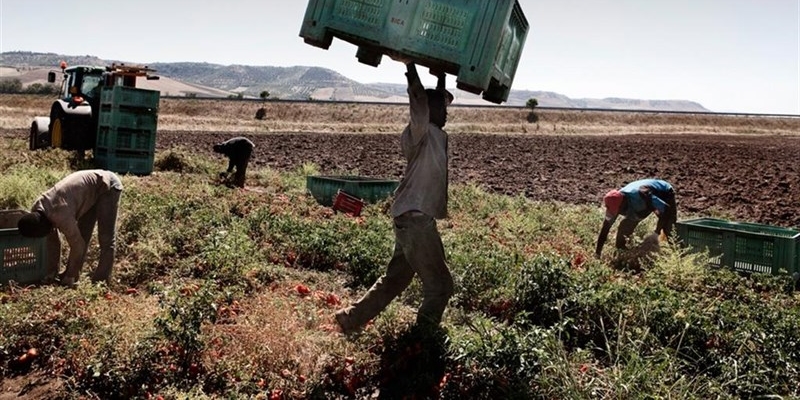 Lavoro in agricoltura