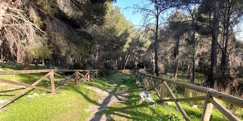 Parco Murgia San Pellegrino Parco Murgia San Pellegrino