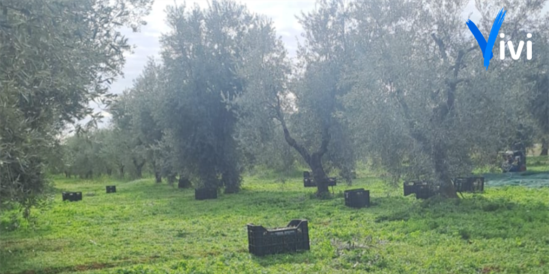 Verso le elezioni, qual è il punto di vista di chi lavora la terra? Se ne parla oggi a Palagiano