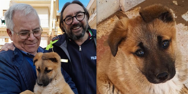 Lieto fine per Zoe: la Polizia locale recupera un cucciolo di cane