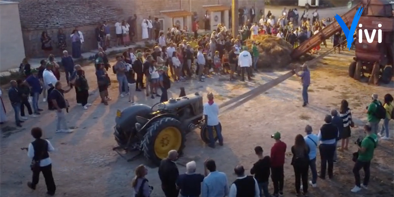 Festa della trebbiatura a Masseria Quisisana Festa della trebbiatura a Masseria Quisisana