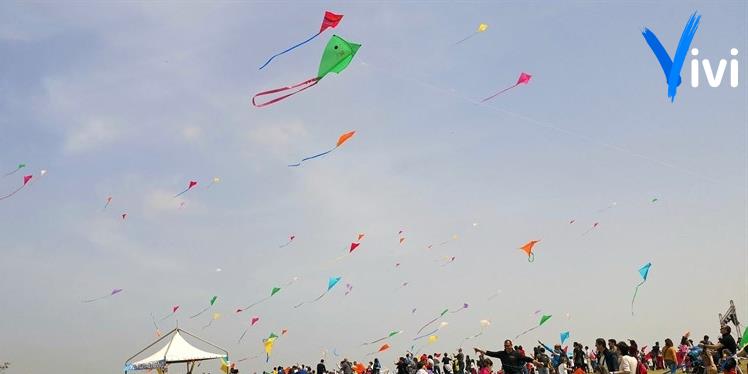 Aquiloni in cielo