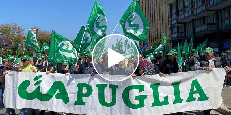Consorzi, Cia e Copagri: «Cartelle rinviate ma questioni ancora aperte»