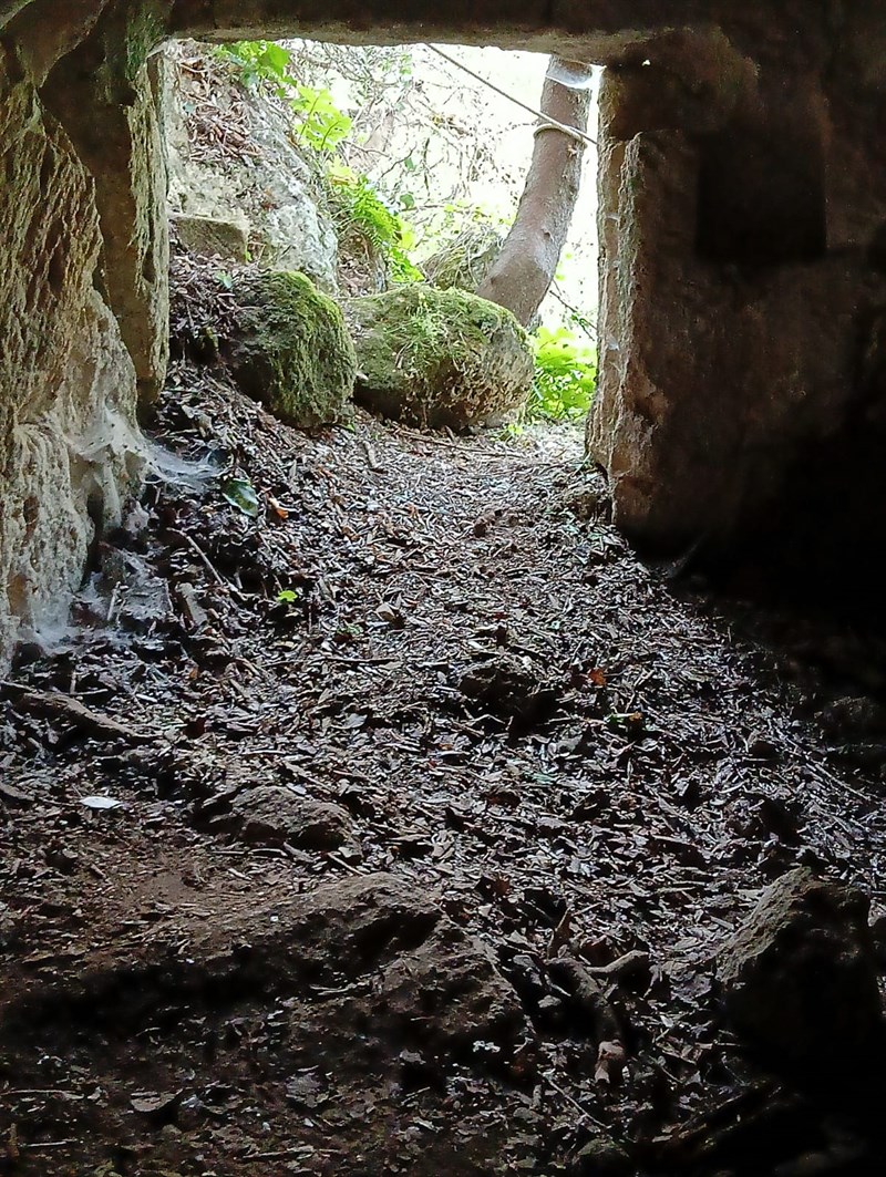 Il percorso che conduce alla grotta del Mago Greguro