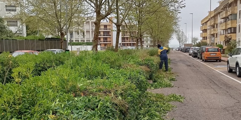 Manutenzione del verde pubblico: interventi in corso a Mottola