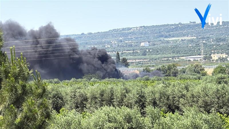 Le fiamme in agro di Palagiano