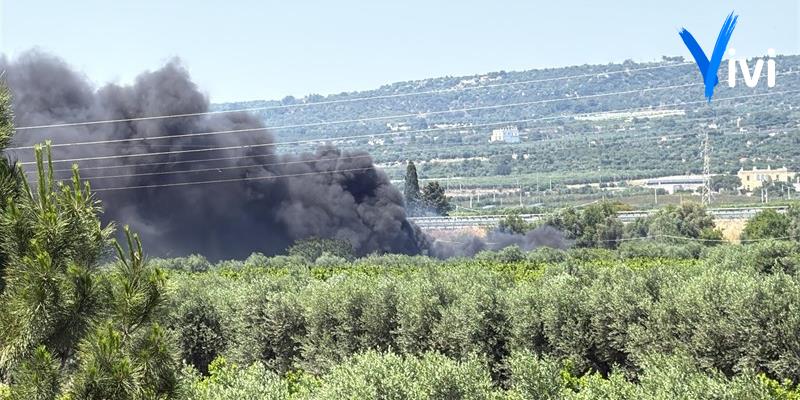 Le fiamme in agro di Palagiano
