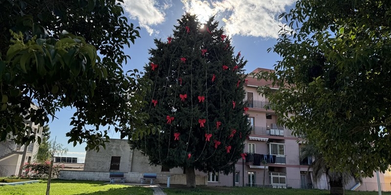 Albero di Natale in piazza Giovanni Paolo II