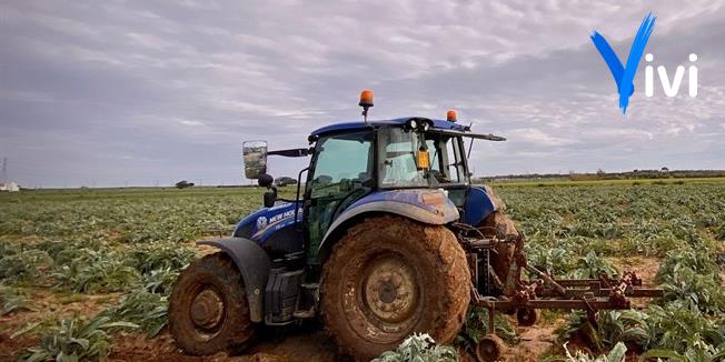 Campagne del Tarantino