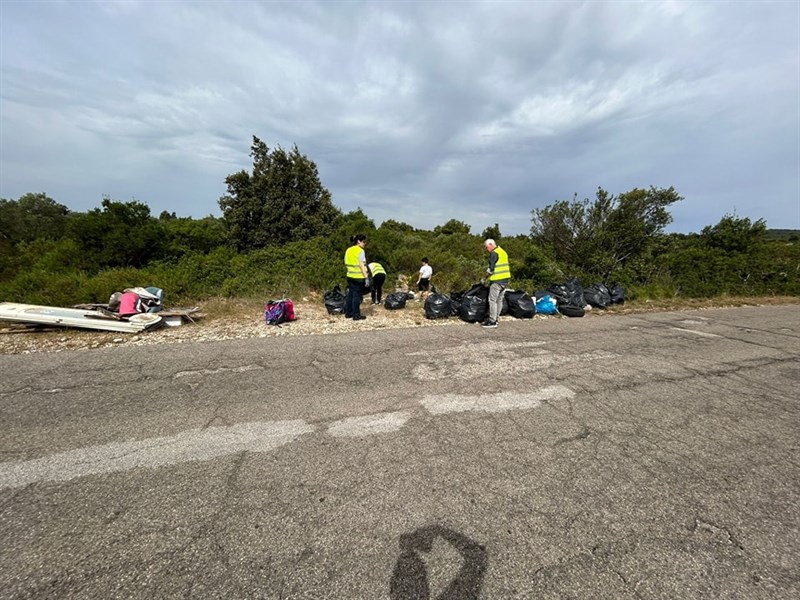 Le foto