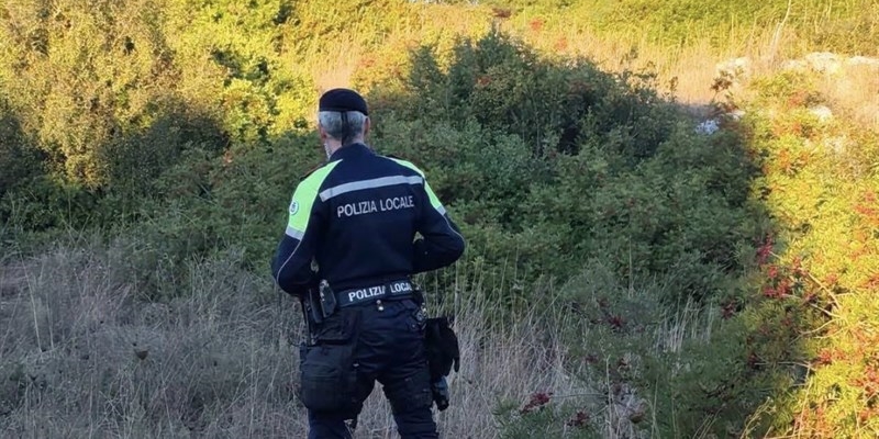 Verifiche in corso