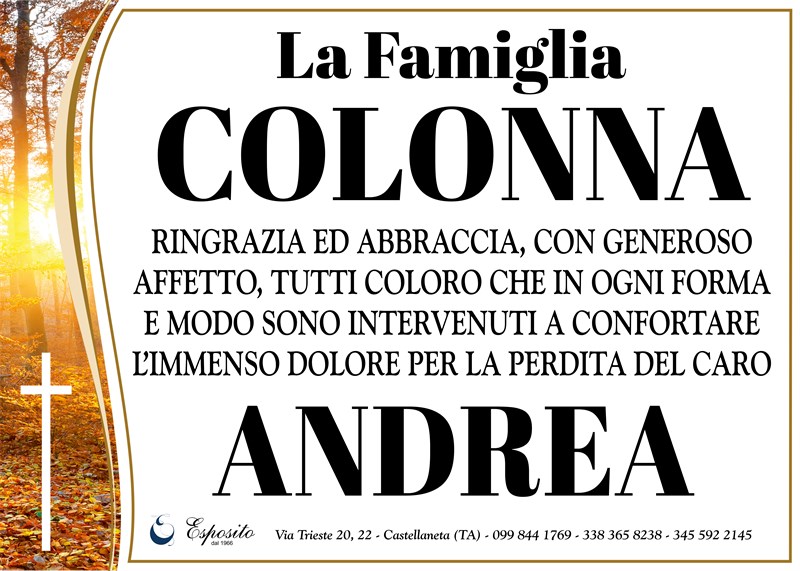 Andrea Colonna