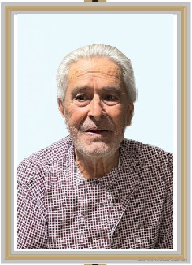 Giorgio Castronovi