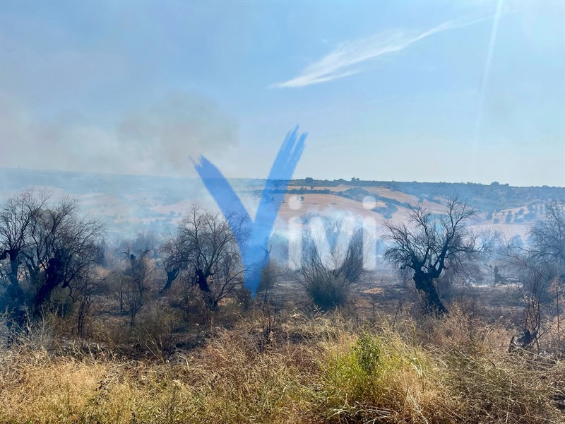 Fiamme a Ginosa 
