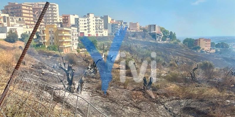 Tre incendi in contemporanea: Ginosa sotto assedio