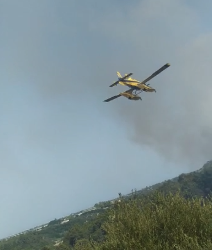 Incendio in località Gaudella Piccola