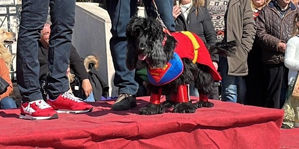Carnevale da Cani - Edizione 2023 Carnevale da Cani - Edizione 2023