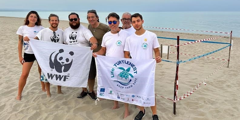 Tartarughe marine: scoperto il primo nido della stagione sulla spiaggia di Castellaneta Marina Tartarughe marine: scoperto il primo nido della stagione sulla spiaggia di Castellaneta Marina