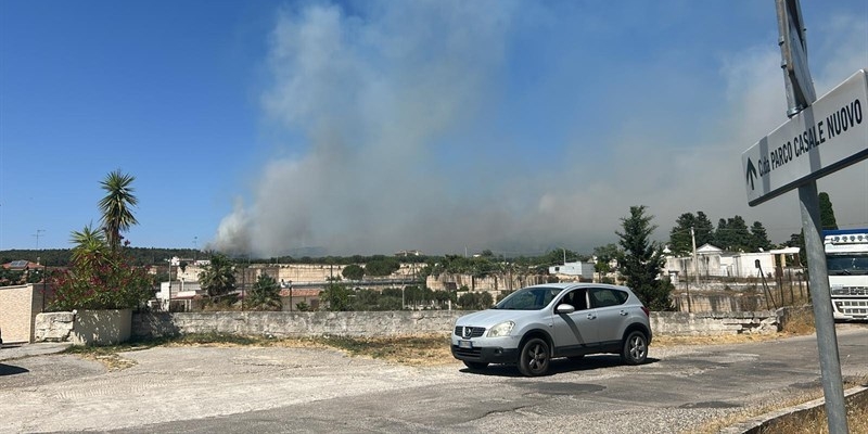 Fiamme in pineta a Palagianello Fiamme in pineta a Palagianello