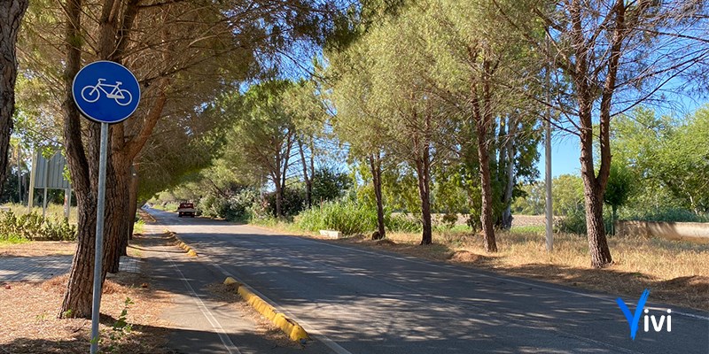 Viale dei Pini a Castellaneta Marina