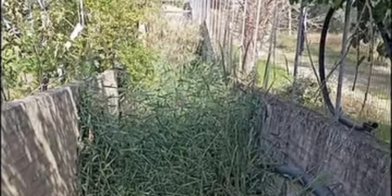 Agricoltura e pulizia nei canali, buone notizie per i palagianellesi