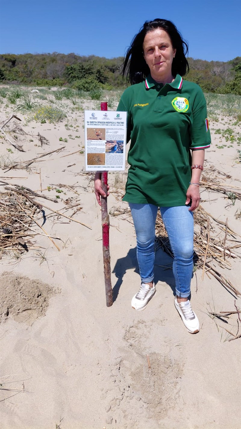 Tornano i fratini sulla spiaggia di Castellaneta Marina