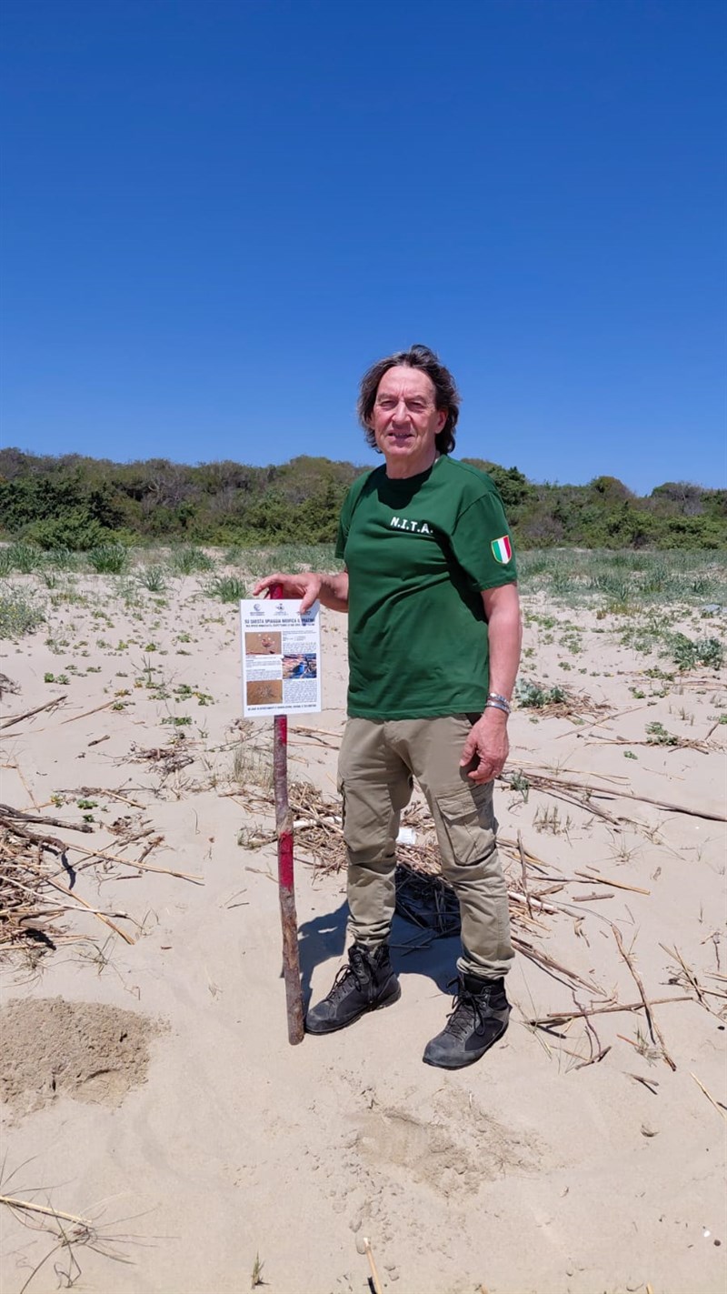 Tornano i fratini sulla spiaggia di Castellaneta Marina