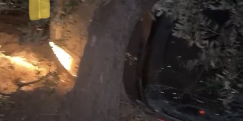 Auto fuori strada