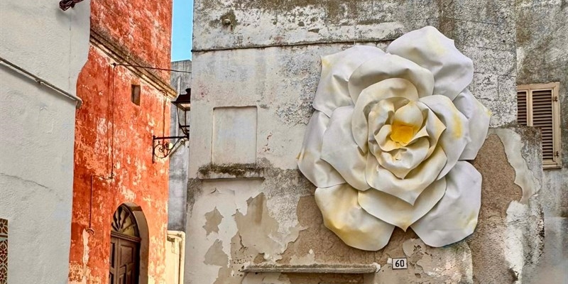 Fiori nel centro storico di Mottola Fiori nel centro storico di Mottola
