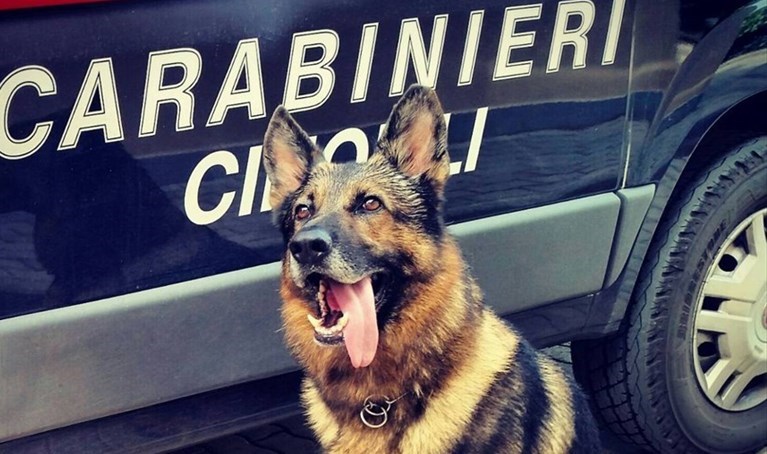 Droga, trasferta amarissima per due calabresi a Castellaneta: in carcere