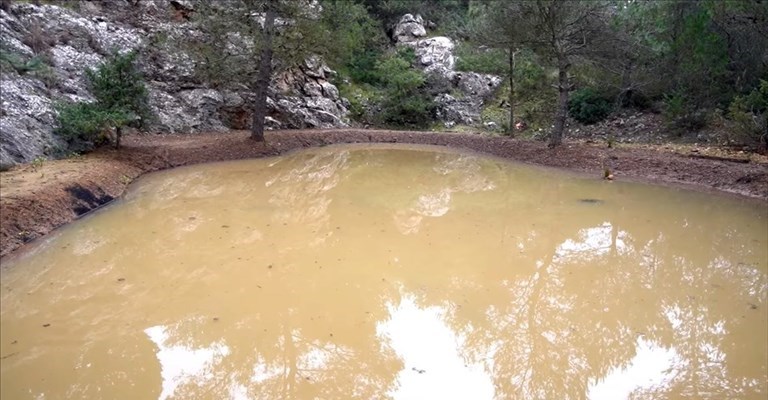 Oasi WWF Monte Sant’Elia: realizzato uno stagno per la conservazione della fauna anfibia