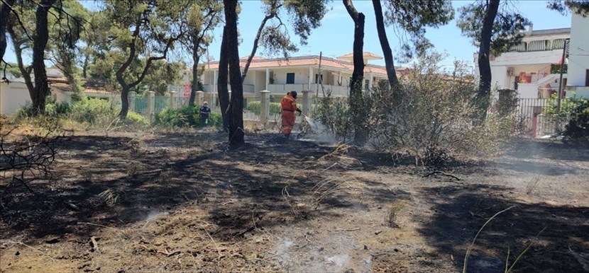 Incendio a Marina di Ginosa Incendio a Marina di Ginosa