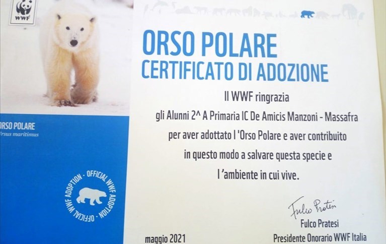 Il certificato