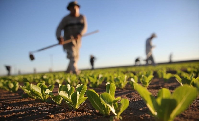 Agricoltura Agricoltura