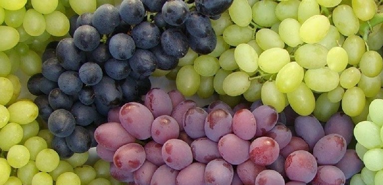 Uva da tavola Uva da tavola