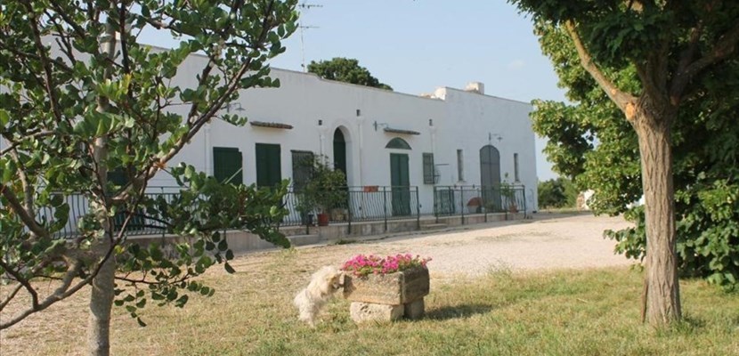Masseria Cappotto Masseria Cappotto