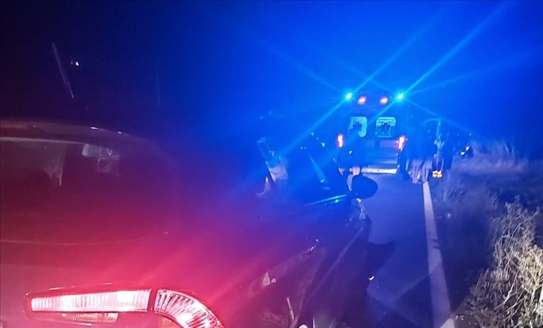 Auto vs cinghiale: ferita una ragazza