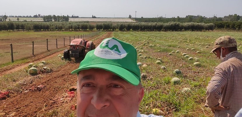Cia Puglia: “Alle angurie riconosciuto un valore inferiore a quello dei rifiuti”